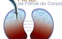 Insuficiência Renal Tratamento Nutricional que Evita Hemodiálise
