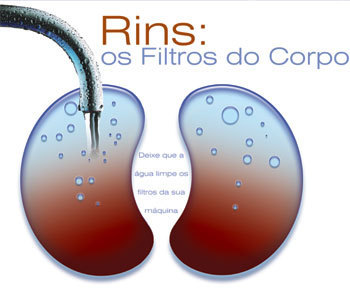 Insuficiência Renal Tratamento Nutricional que Evita Hemodiálise