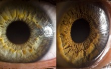 Fotógrafo Suren Manvelyan Tira Fotos de Olhos de Pessoas e Animais