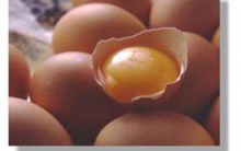 Receitas de Omelete Mais Você: Simples, Rápido, Prático