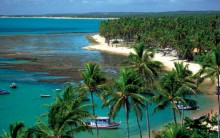 Tudo sobre Praia do Forte, BA: Projeto Tamar, Hotéis, Atrações e Fotos