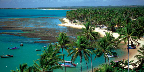 praia-do-forte-foto