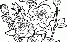 Desenhos de Rosa para Colorir: Lindas Imagens para Pintar, Flores