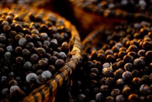 significado-das-frutas-açai