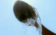 Doenças Causadas Pela Água Contaminada Como Tornar a Água Potável