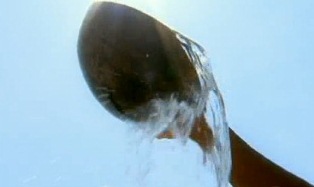 Doenças Causadas Pela Água Contaminada Como Tornar a Água Potável