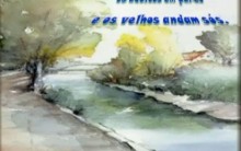 Aquarelas de Marcel Reynaert – Dizeres Terceira Idade – Fotos e Video