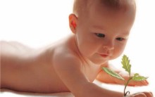 Definição de Vida: Seres Vivos, Características, Conceitos da Biologia