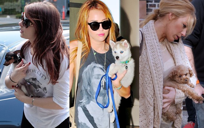 Cães Fofos dos Famosos: Animais de Estimação das Celebridades, Fotos