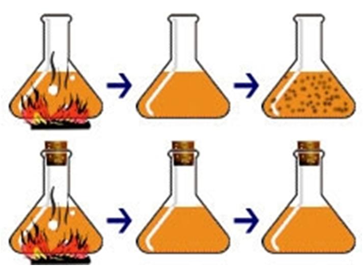 caldo Teoria da Biogênese: Origem de Seres Vivos, Louis Pasteur, Experimento