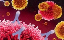 Substâncias das Células: Orgânicas e Inorgânicas (Água, Proteínas etc)