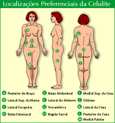 Alimentos que Ajudam Eliminar a Celulite – Dicas da Nutricionista-Veja
