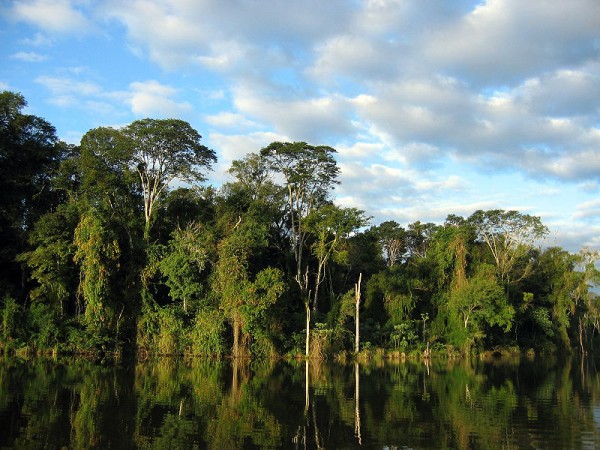 foto-da-mata-atlântica