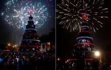 Fotos Árvore de Natal do Ibirapuera- Inaugurada em São Paulo- 04/12/11
