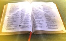Biblia On Line Site WWW.bibliaonline.com.br leia Livro Sagrado