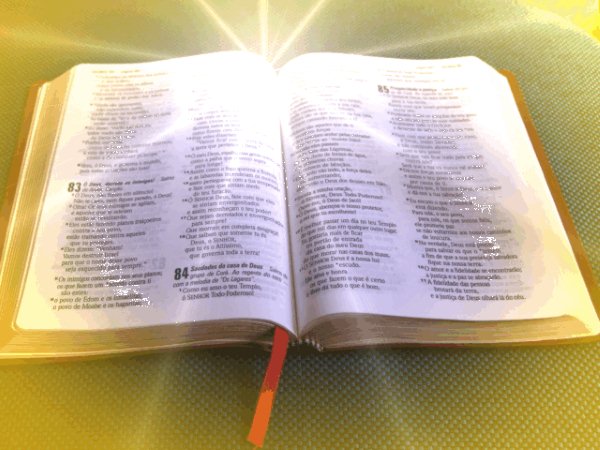 Biblia On Line Site WWW.bibliaonline.com.br leia Livro Sagrado