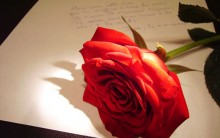 Papéis de Carta de Amor para Imprimir: Imagens Fotos Românticas Grátis