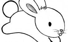 Desenhos de Animais Fofos para Colorir: Imagens para Imprimir e Pintar