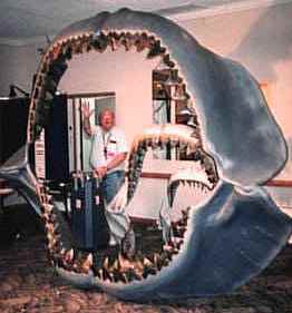 megalodon-mandibula-maior-tubarão-