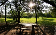 Onde Fazer um Piquenique em São Paulo: Lindos Parques e Lugares Ideais
