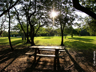 Onde Fazer um Piquenique em São Paulo: Lindos Parques e Lugares Ideais