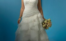 Vestidos de Noiva Plus Size: Fotos Modelos para Gordinhas