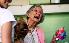 Cães Ajudam no Tratamento de Idosos Cachorros Treinados contra Doenças