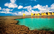 Melhores Piscinas Naturais do Nordeste: Onde Ficam, Atrações e Fotos