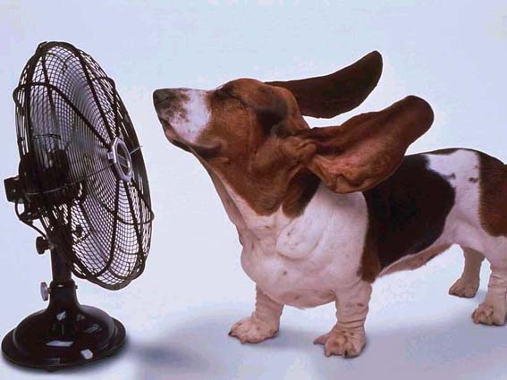 Ventiladores Móveis para o Verão: Modelos, Promoções, Comprar e Preços