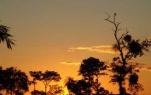 Melhores Reservas Naturais, Parques Ecológicos do Brasil: Lista, Fotos