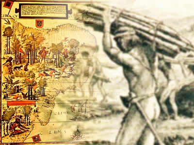 Produção de Açúcar no Brasil Colonial: Estrutura dos Engenhos, Resumo