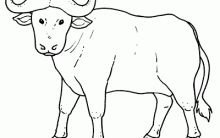 Desenhos para Colorir de Búfalos: Imagens Online para Pintar Grátis