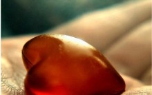 Órgãos que são Doados em Vida Como ser um Doador de Fígado, Rim e mais
