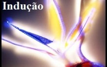 Eletrização por Indução: Explicação, Exemplos, Desenhos e Exercícios