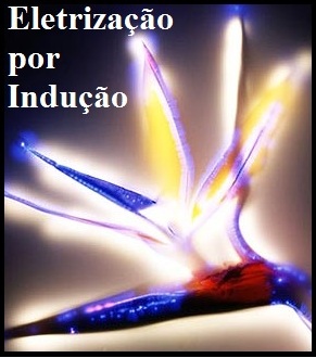 Eletrização por Indução: Explicação, Exemplos, Desenhos e Exercícios