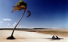 Ilha de Marajó no Pará: Praias, Hotéis, Búfalos, Lundu, Turismo, Fotos