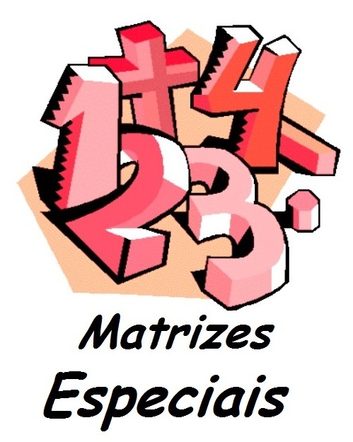 Matrizes Especiais: Matriz Linha, Coluna, Quadrada e Diagonal Exemplos