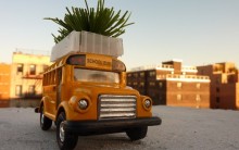 Biobus: Ônibus com Jardim no Teto contra Ilhas de Calor, Absorve CO2