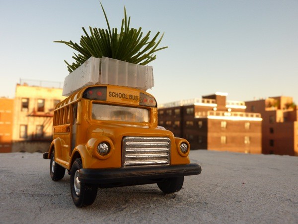Biobus: Ônibus com Jardim no Teto contra Ilhas de Calor, Absorve CO2