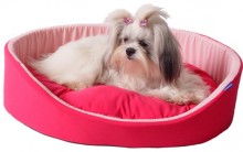 Camas para Cachorros: Modelos Dupla Face, Preços e Lojas para Comprar