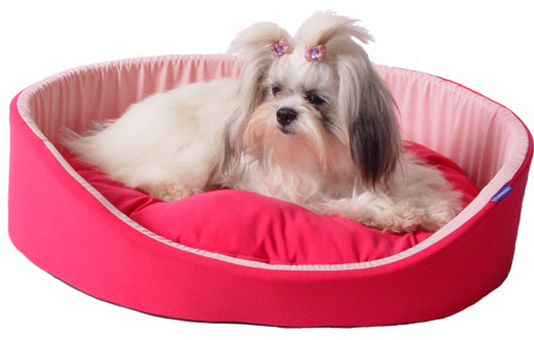 Camas para Cachorros: Modelos Dupla Face, Preços e Lojas para Comprar
