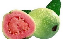 Goiaba: Benefícios à Saúde, Vitaminas, Medicina Doméstica, Suco Goiaba