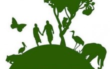 Como ser Ciberativista do Greenpeace: Participe pelas Redes Sociais!