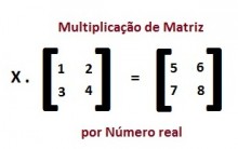 Multiplicação de Matriz por um Número Real: Explicação e Exercícios