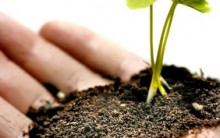 Cidadão Verde: Como ser, Atitudes, Preservar, Dicas, Poupar a Natureza