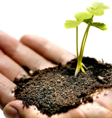Cidadão Verde: Como ser, Atitudes, Preservar, Dicas, Poupar a Natureza
