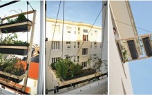 Veneziana de Plantas: Suporte para Janela Verde em Apartamentos, Fotos
