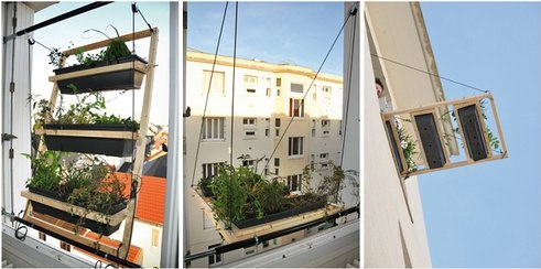 Veneziana de Plantas: Suporte para Janela Verde em Apartamentos, Fotos