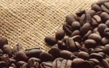Benefício Café à Saúde, Componentes, Receita Café, Indicação Bem Estar