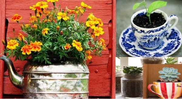 como-plantar-em recipientes-reciclados-com-criatividade